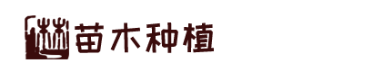 凯发app官网登录首页