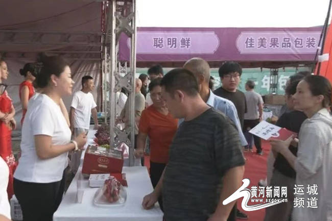 永济市第三届葡萄文化节暨卿头克伦生葡萄开园仪式举行